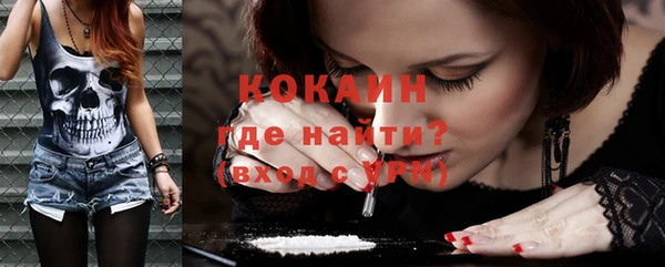 крисы Анива